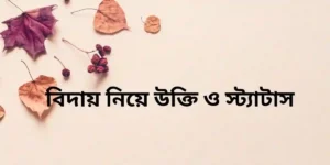 বিদায় নিয়ে উক্তি ও স্ট্যাটাস