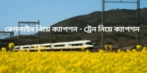 রেললাইন নিয়ে ক্যাপশন - ট্রেন নিয়ে ক্যাপশন