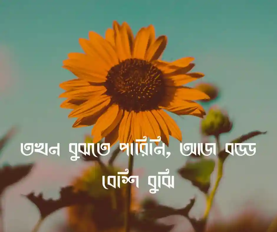 অনুতপ্ত নিয়ে স্ট্যাটাস