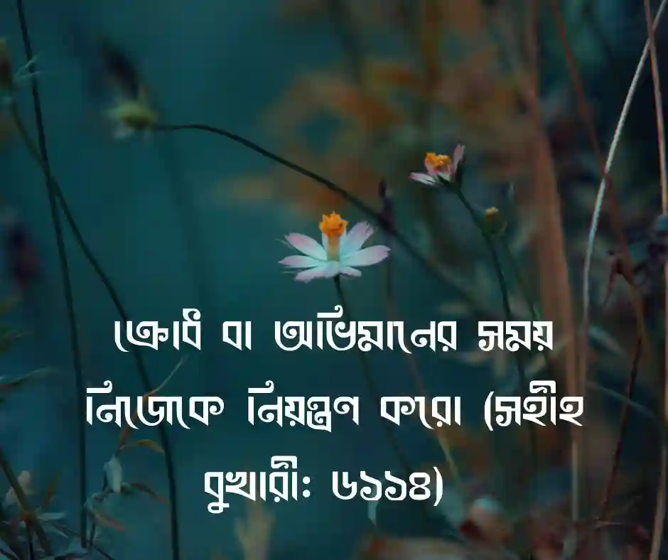 অভিমান নিয়ে ইসলামিক উক্তি