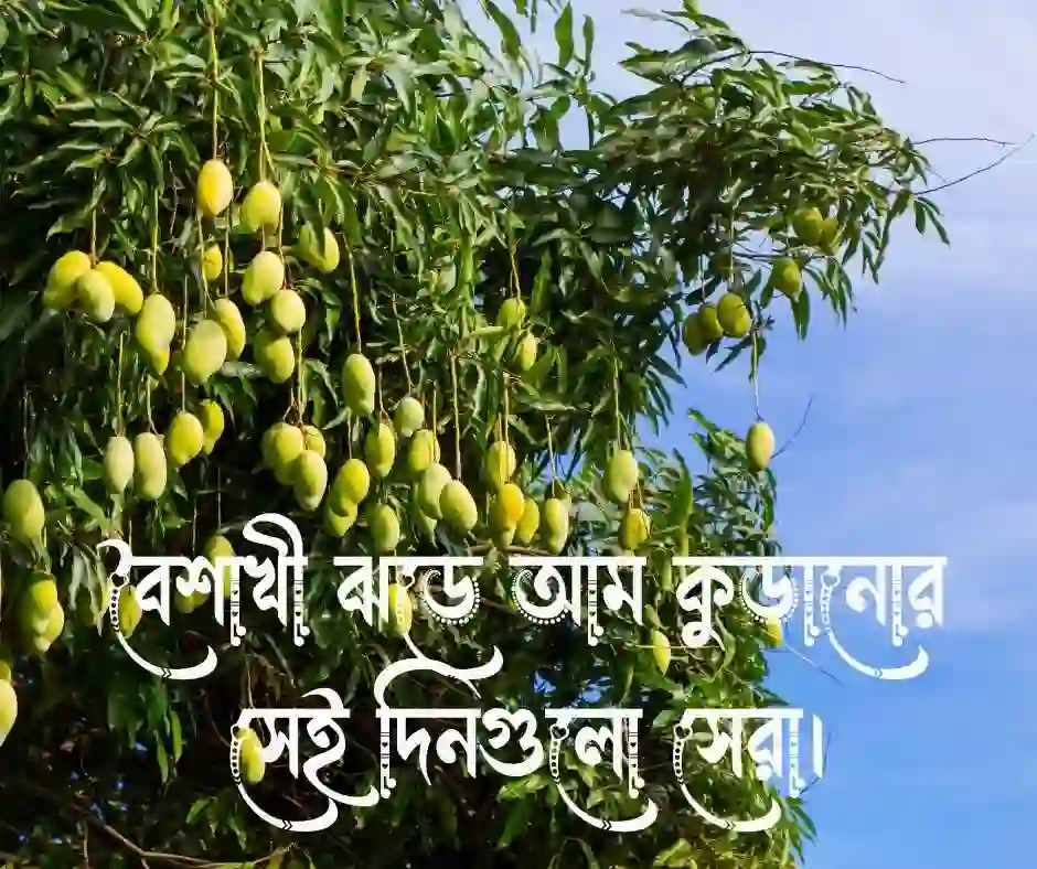 আম নিয়ে ক্যাপশন