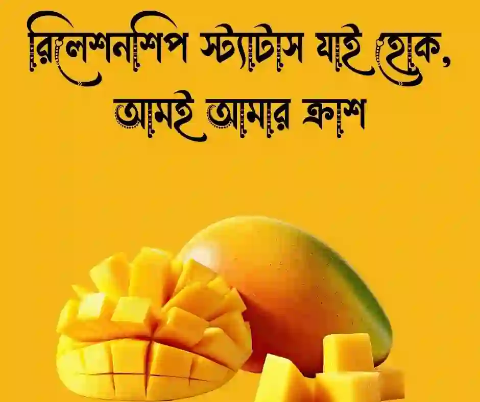 আম নিয়ে ফানি পোস্ট