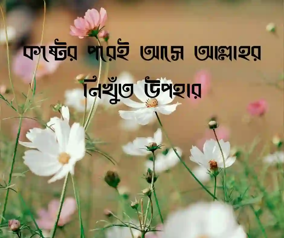 আল্লাহর পরিকল্পনা নিয়ে উক্তি