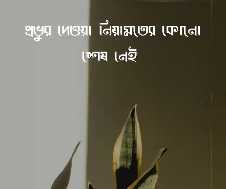 আল্লাহর প্রশংসা নিয়ে উক্তি