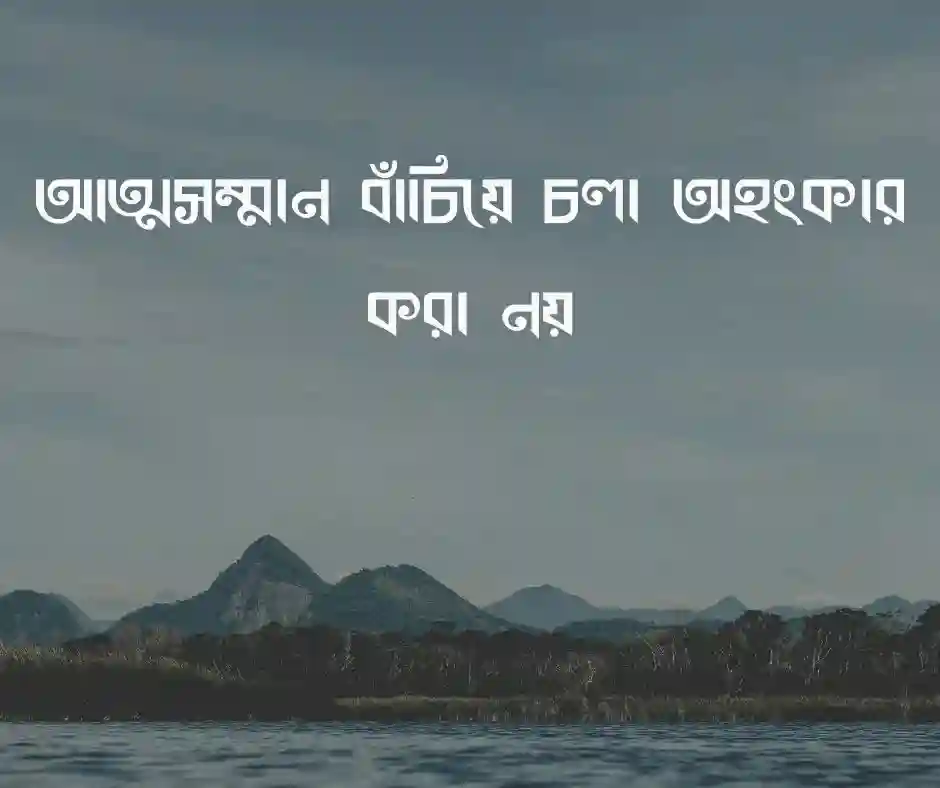 ইগো নিয়ে স্ট্যাটাস