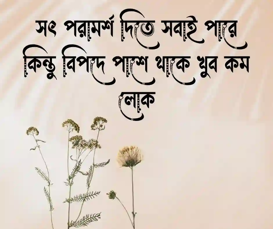 উচিত কথা নিয়ে উক্তি