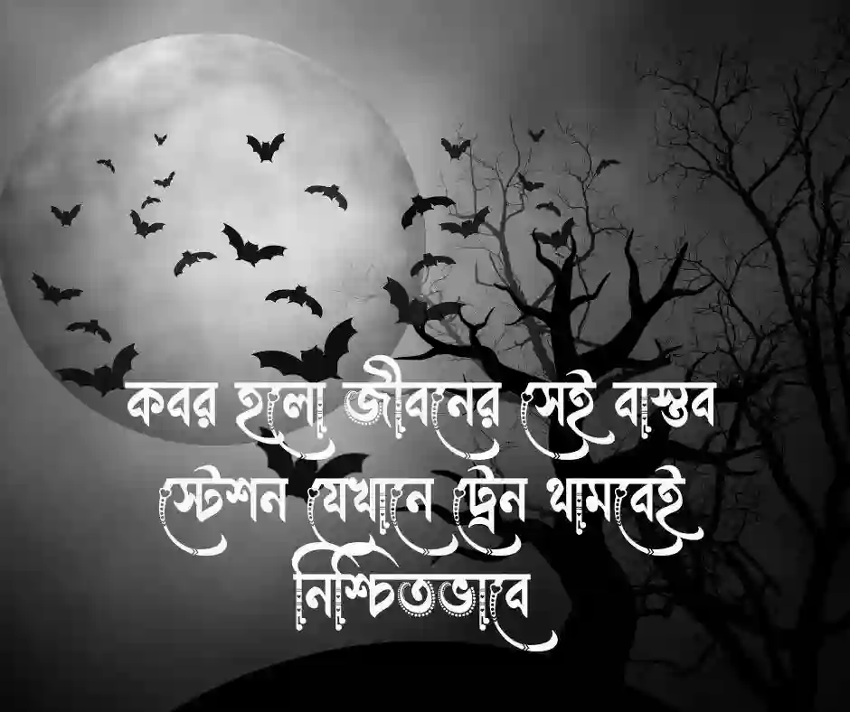কবর নিয়ে স্ট্যাটাস