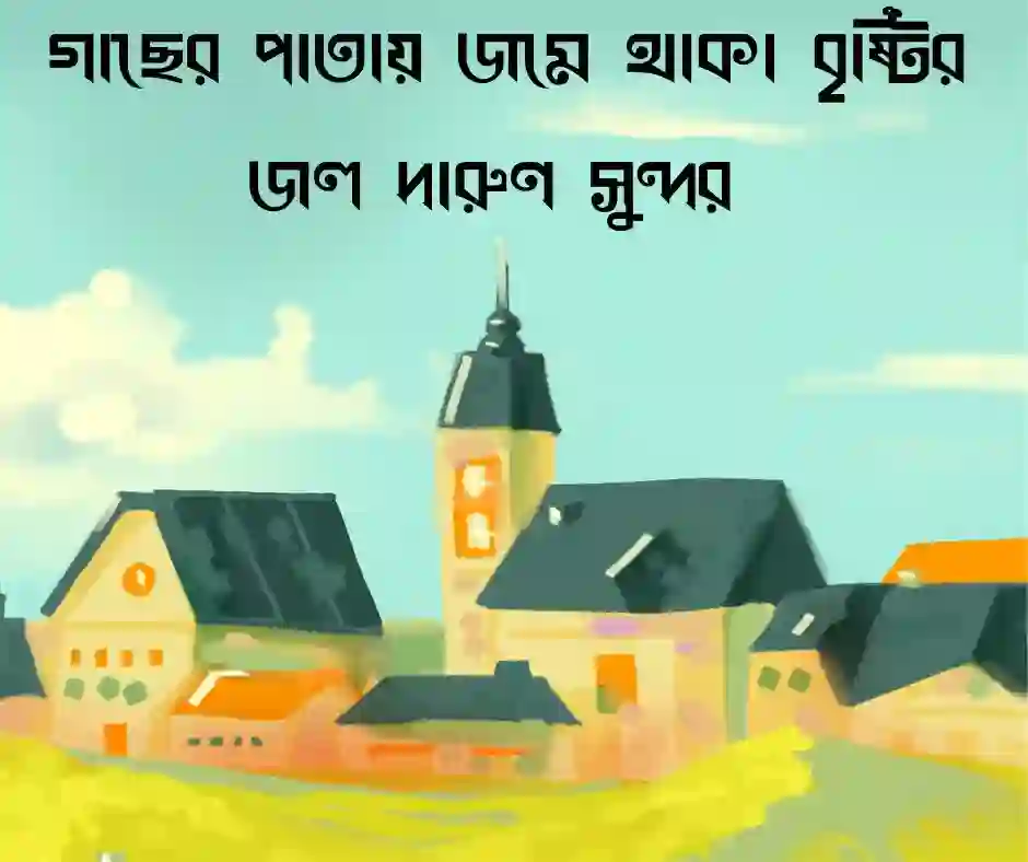 গ্রাম নিয়ে স্ট্যাটাস