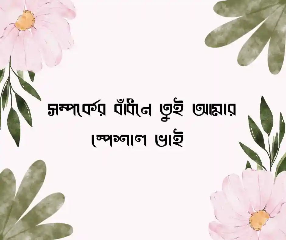 চাচাতো ভাই নিয়ে স্ট্যাটাস