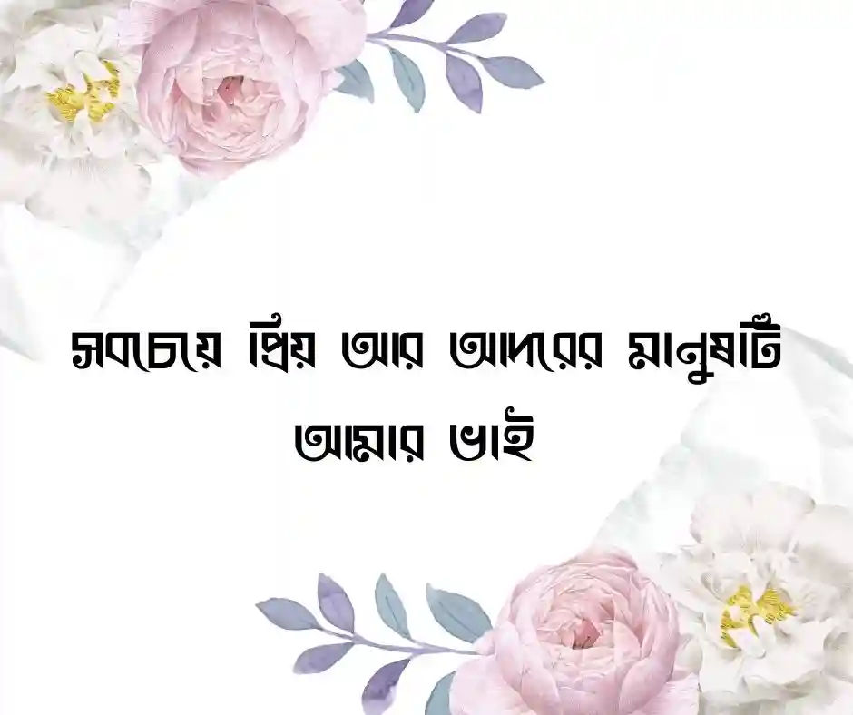 ছোট ভাই নিয়ে ক্যাপশন