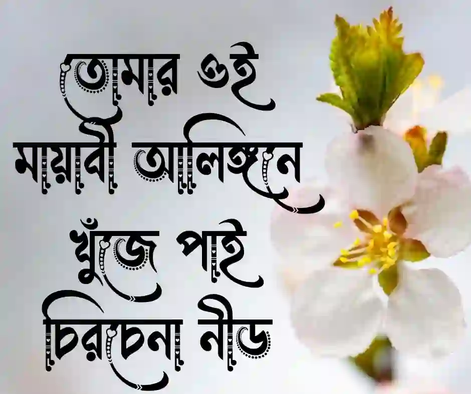জড়িয়ে ধরা নিয়ে উক্তি
