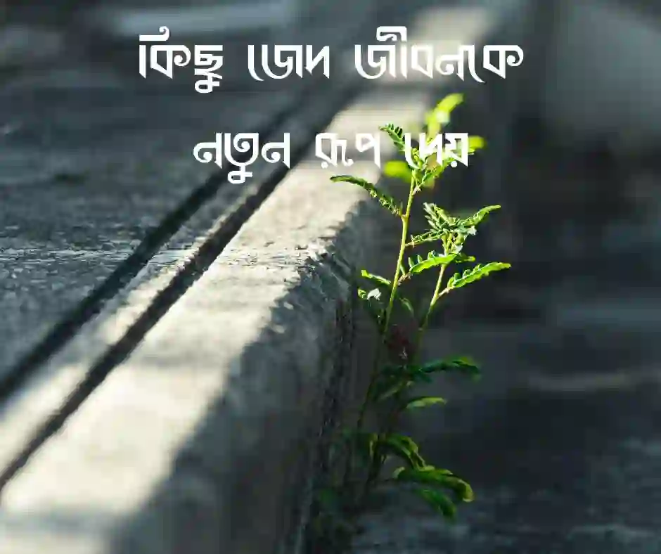 জেদ নিয়ে স্ট্যাটাস