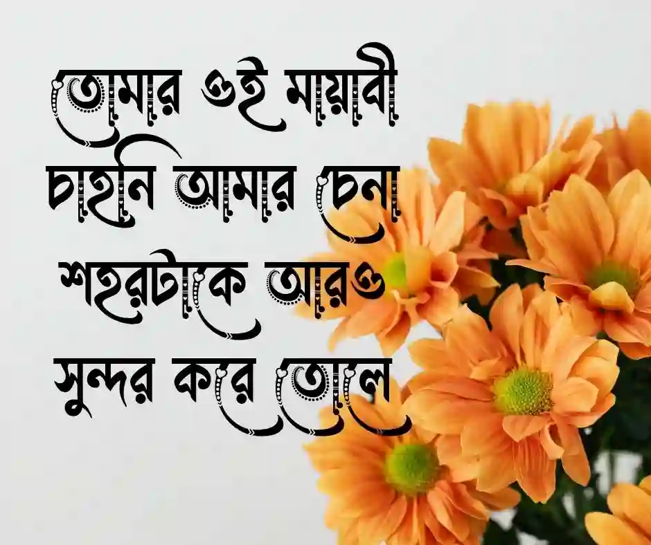 তাকিয়ে থাকা নিয়ে ক্যাপশন (1)