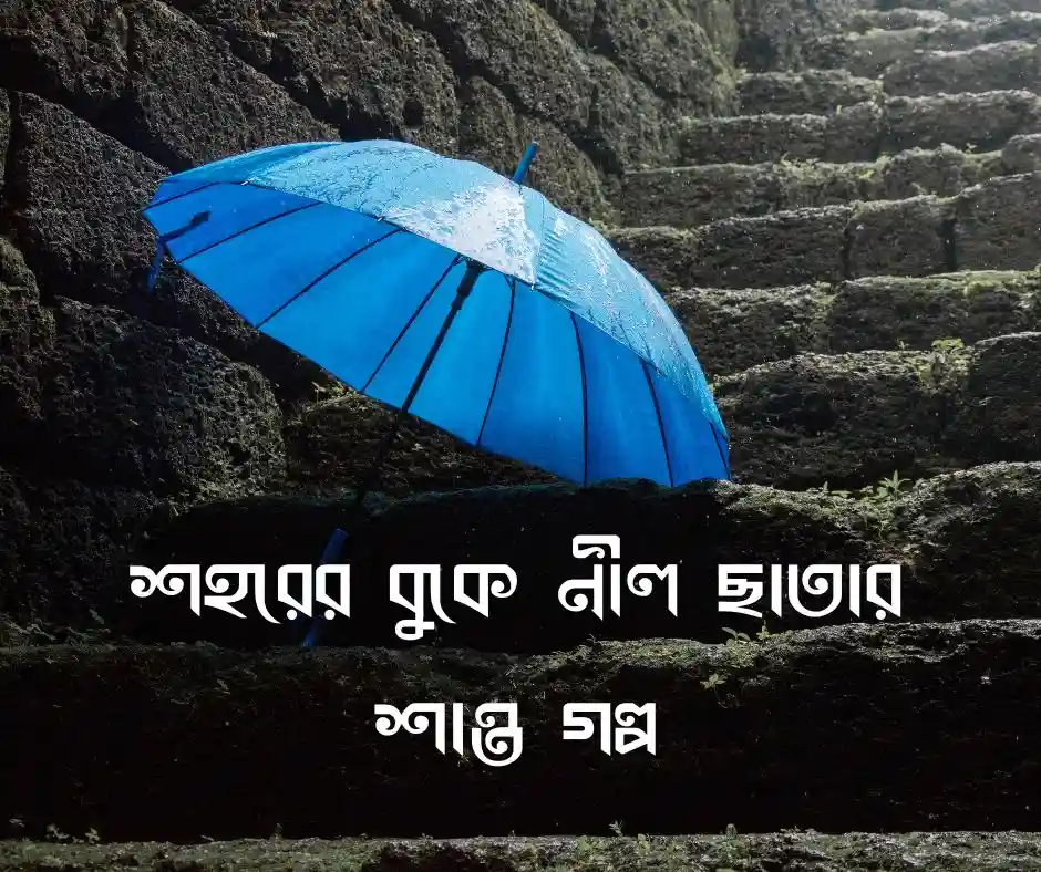নীল ছাতা নিয়ে দাঁড়িয়ে পিক