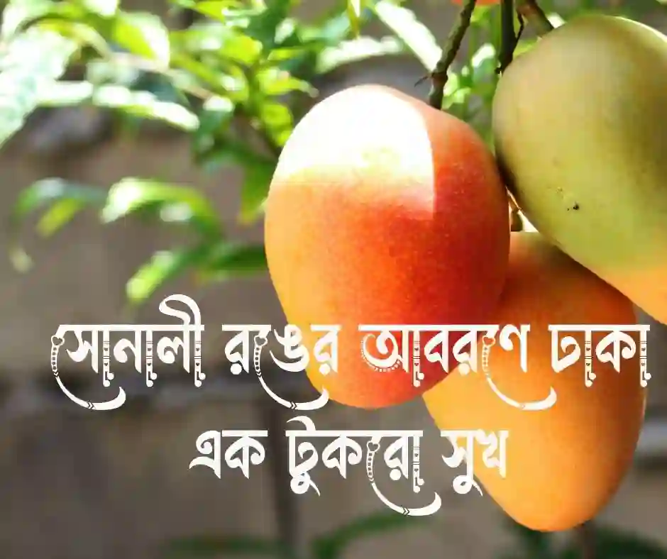 পাকা আম নিয়ে ক্যাপশন