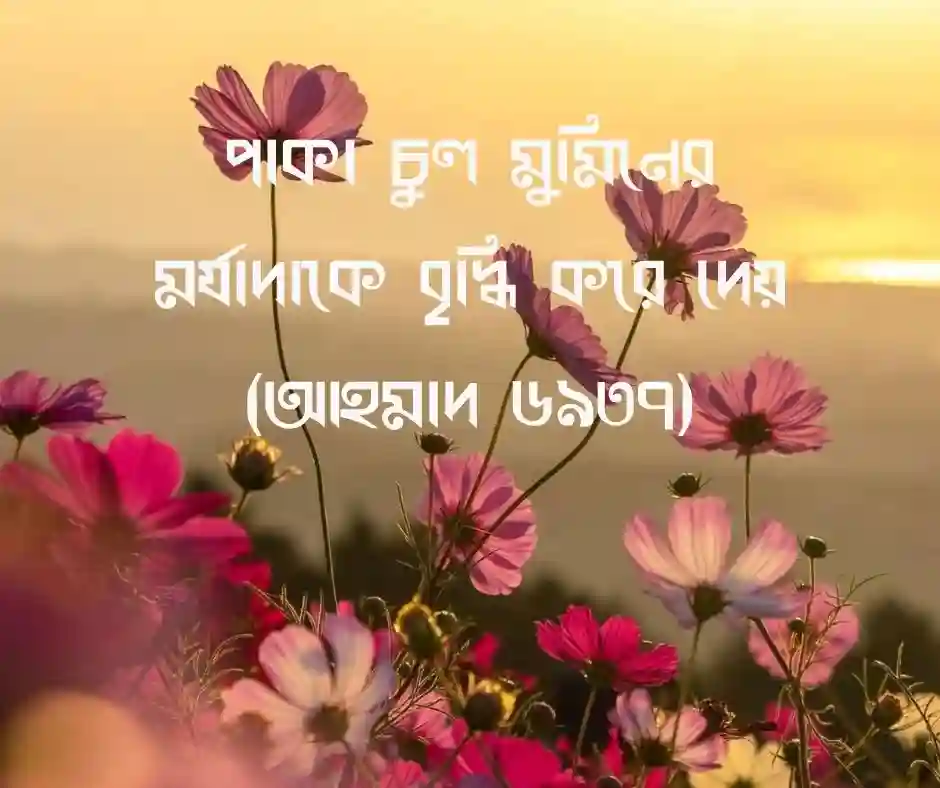 পাকা চুল নিয়ে হাদিস