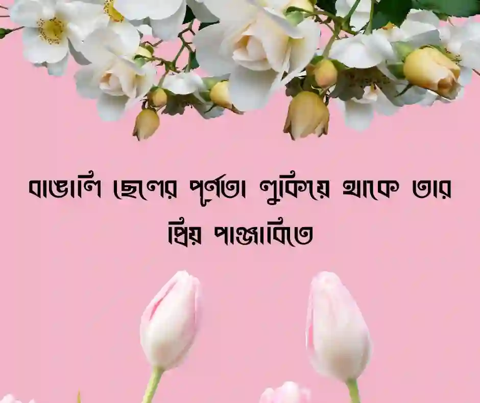 পাঞ্জাবি নিয়ে ক্যাপশন