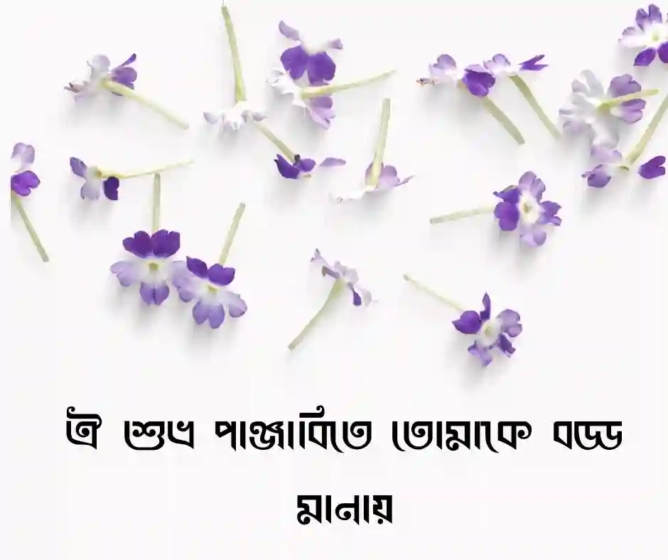 পাঞ্জাবি নিয়ে রোমান্টিক ক্যাপশন