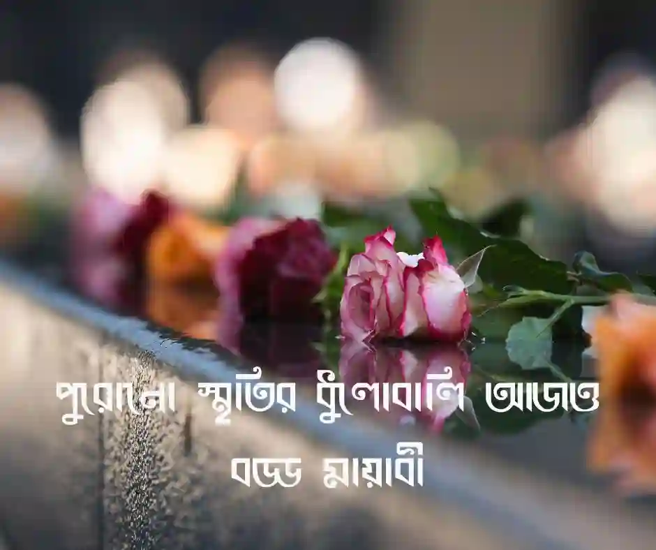 পুরনো স্মৃতি নিয়ে স্ট্যাটাস