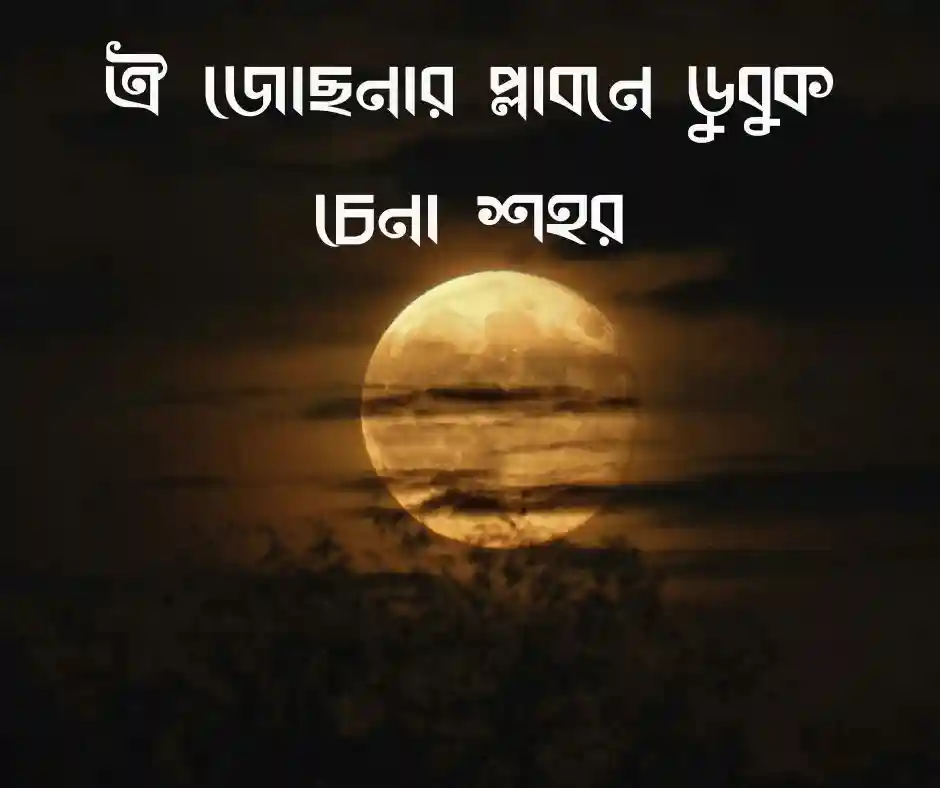 পূর্ণিমা চাঁদ নিয়ে ক্যাপশন