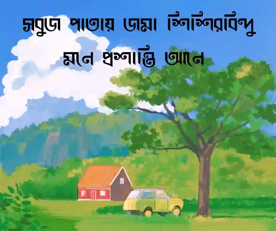 প্রকৃতি গ্রাম নিয়ে উক্তি