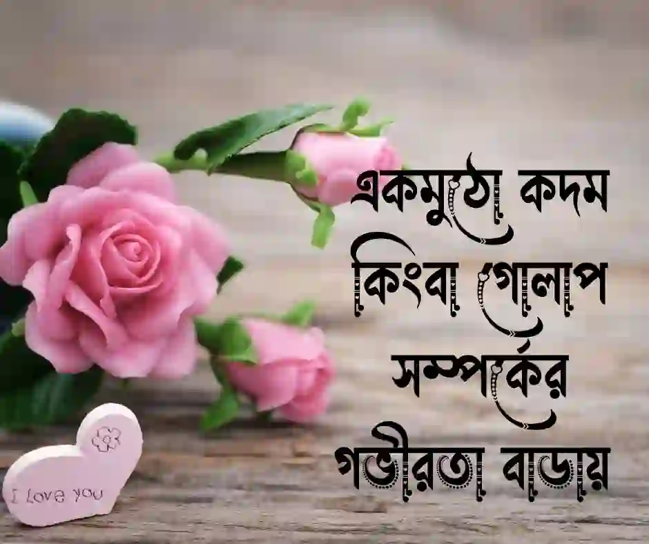 ফুল উপহার নিয়ে উক্তি (1)