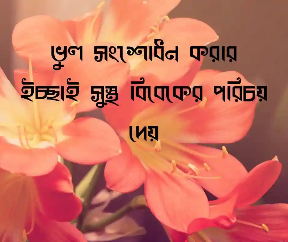 বিবেক নিয়ে স্ট্যাটাস
