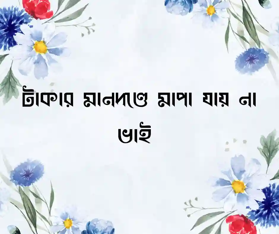 ভাই নিয়ে স্ট্যাটাস