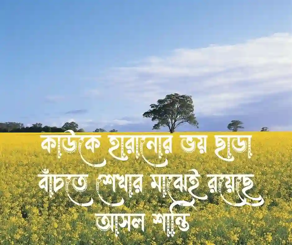 ভালো থাকা নিয়ে উক্তি&nbsp;