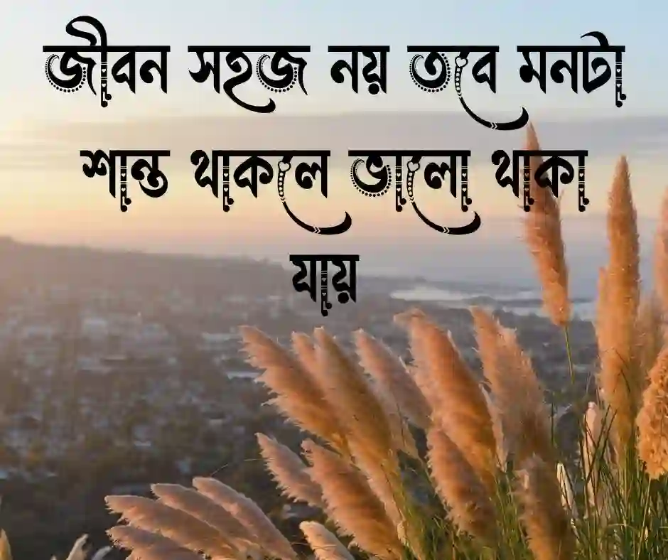 ভালো থাকা নিয়ে ক্যাপশন&nbsp;