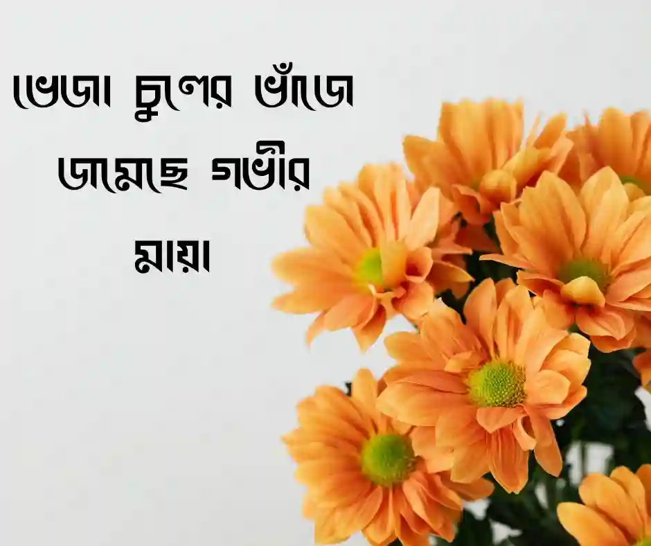 ভেজা চুল নিয়ে স্ট্যাটাস