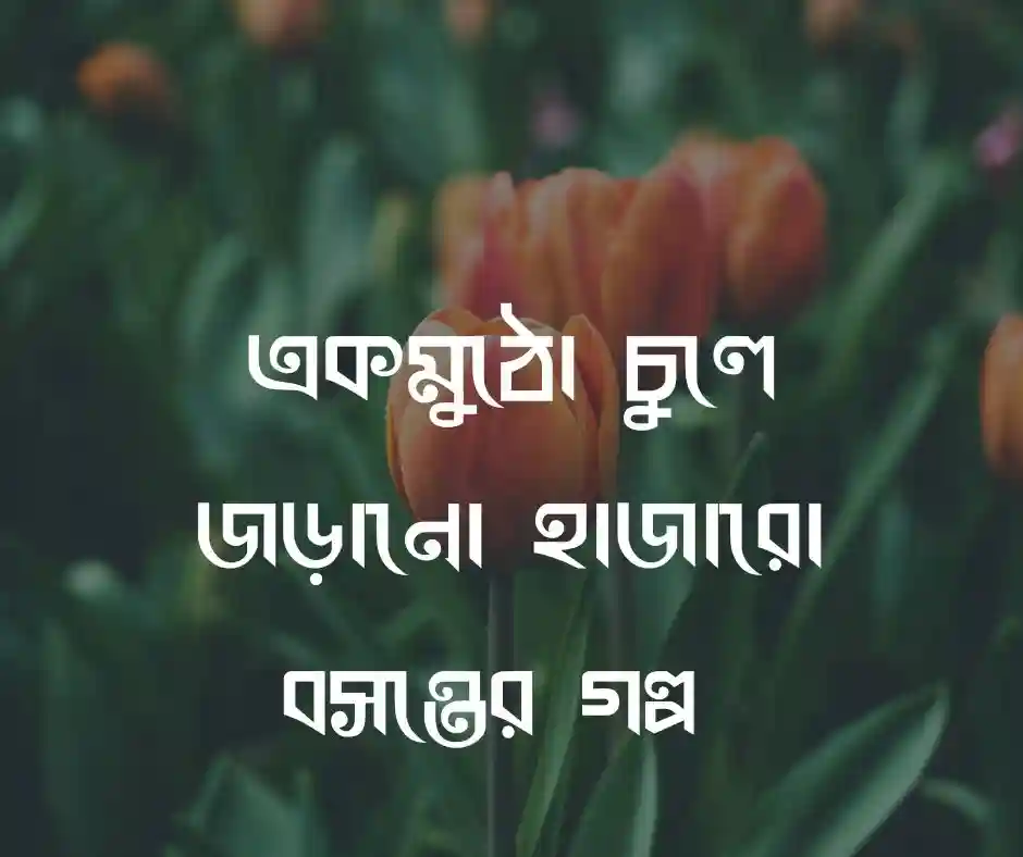 মেয়েদের চুল নিয়ে প্রশংসা