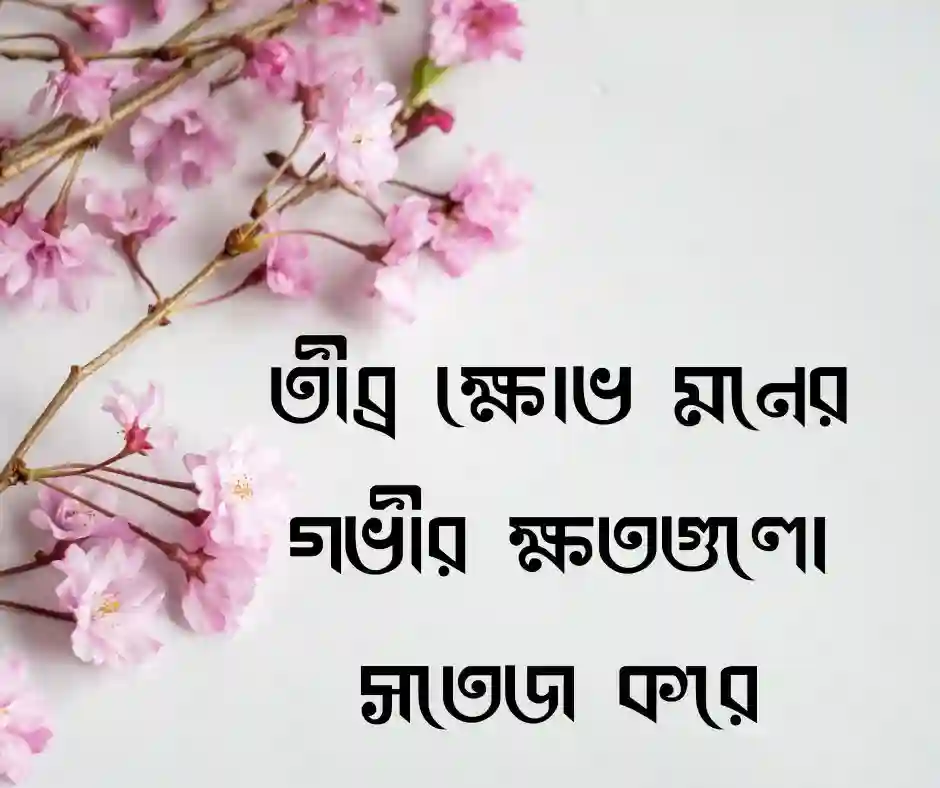 রাগ নিয়ে স্ট্যাটাস