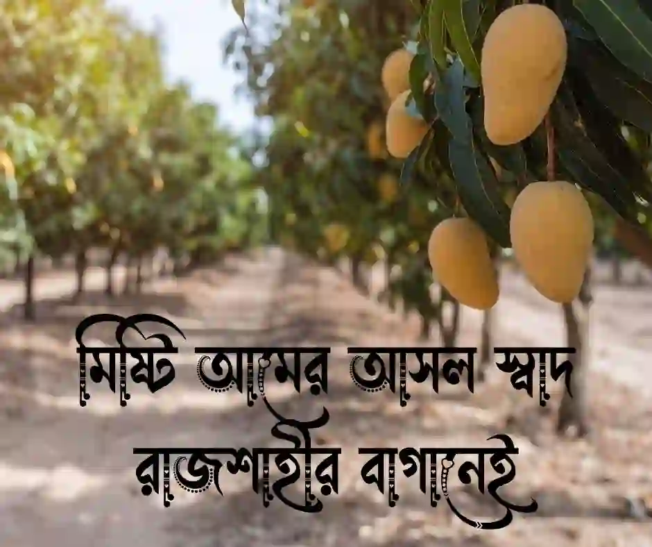 রাজশাহীর আম নিয়ে উক্তি