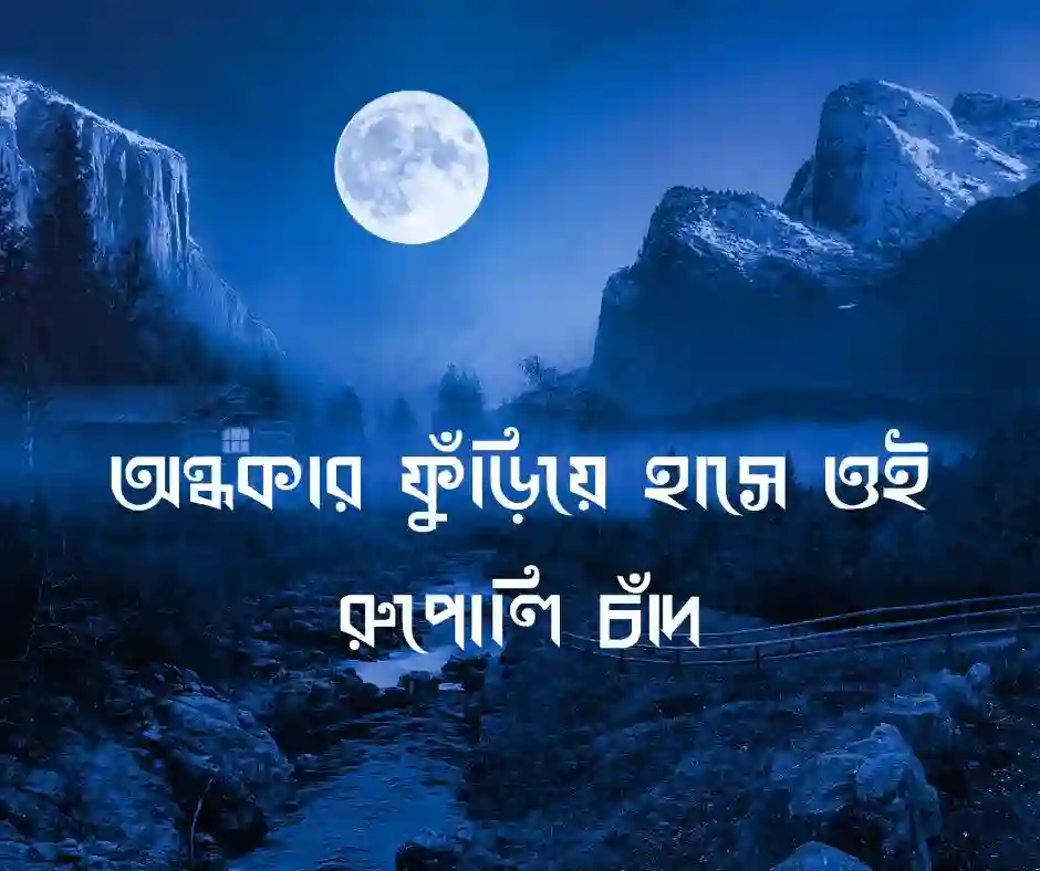 রাতের চাঁদ নিয়ে ক্যাপশন