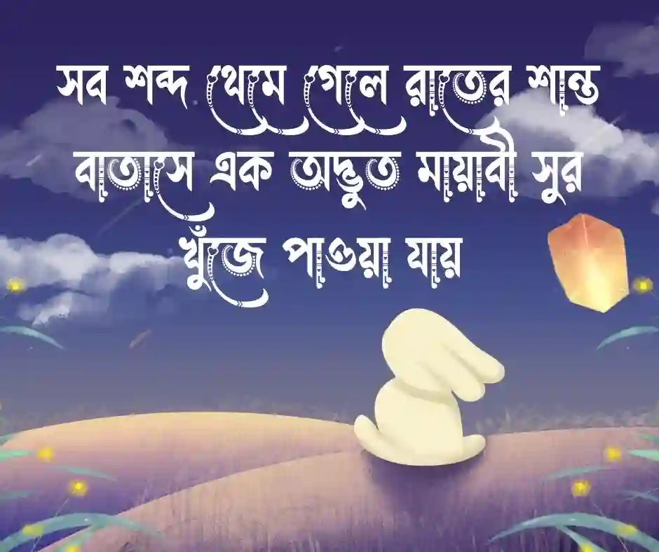 রাতের নিস্তব্ধতা নিয়ে ক্যাপশন