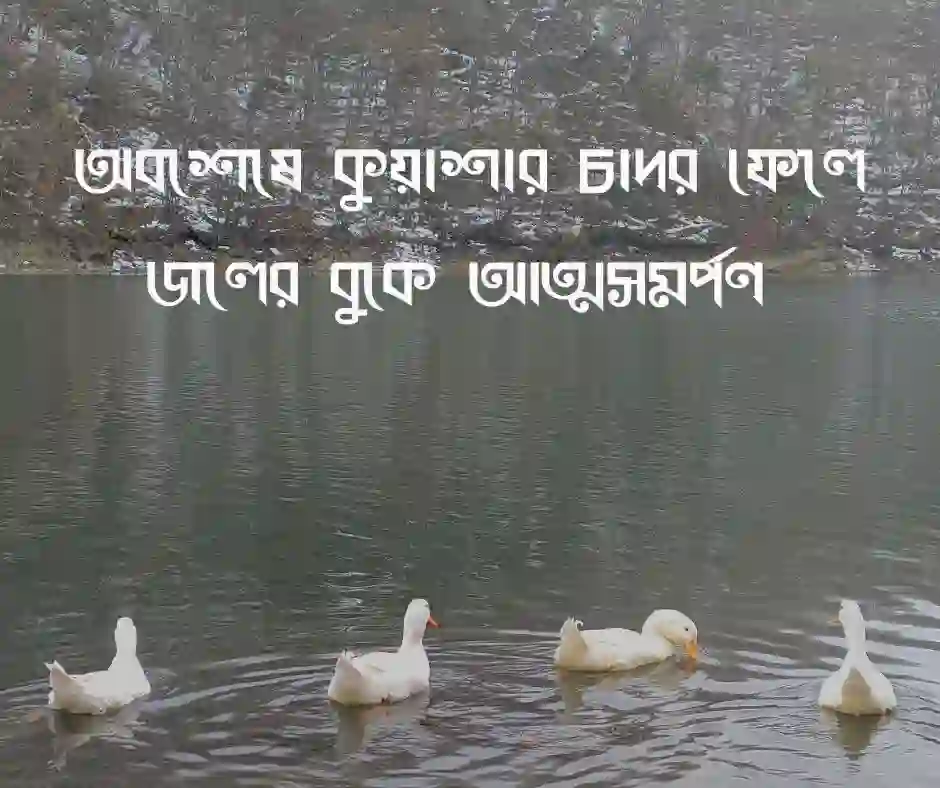 শীতের গোসল নিয়ে উক্তি