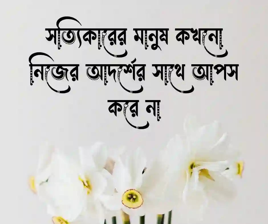 সত্য কথা নিয়ে উক্তি