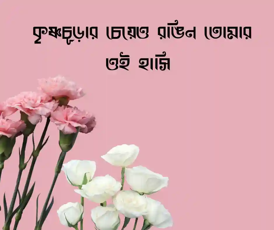 সৌন্দর্যের প্রশংসা নিয়ে স্ট্যাটাস