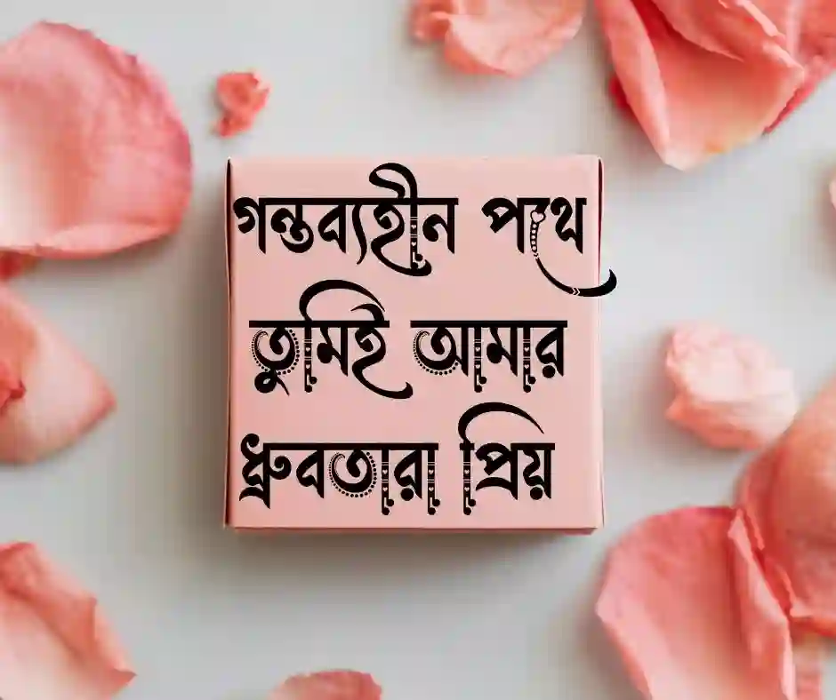 স্ত্রীকে নিয়ে ভালোবাসার স্ট্যাটাস