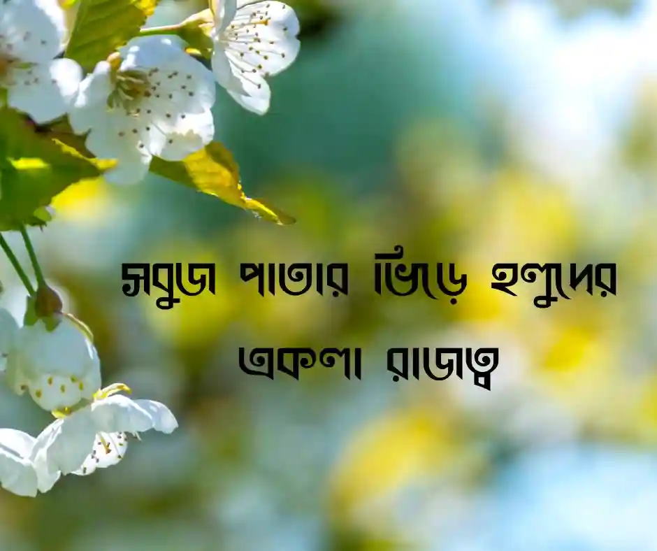 হলুদ পাঞ্জাবি নিয়ে ক্যাপশন
