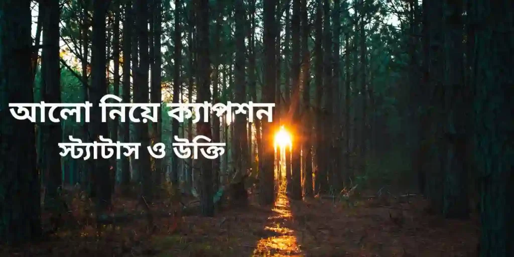 100+ আলো নিয়ে ক্যাপশন,স্ট্যাটাস ও উক্তি