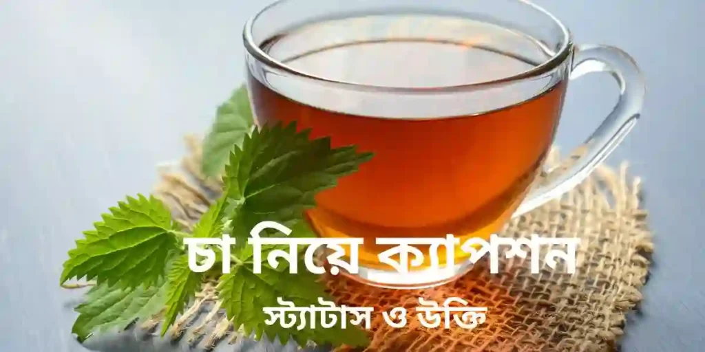 120+ চা নিয়ে ক্যাপশন,স্ট্যাটাস _ও উক্তি