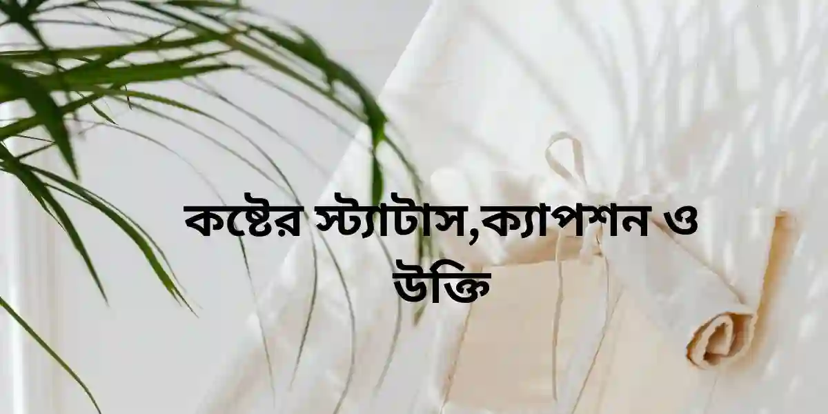 কষ্টের স্ট্যাটাস,ক্যাপশন ও উক্তি