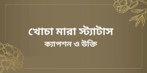 খোচা মারা স্ট্যাটাস,ক্যাপশন ও উক্তি