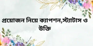 প্রয়োজন নিয়ে ক্যাপশন,স্ট্যাটাস ও উক্তি