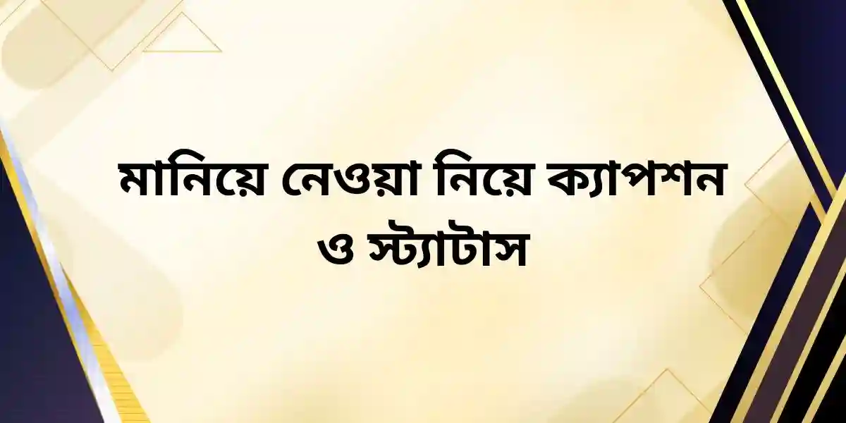 মানিয়ে নেওয়া নিয়ে ক্যাপশন ও স্ট্যাটাস
