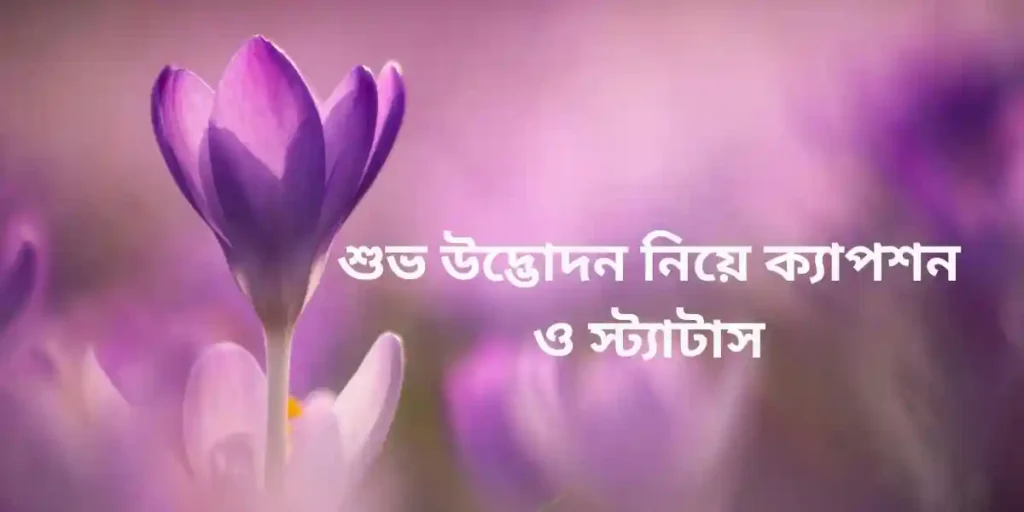 শুভ উদ্ভোদন নিয়ে ক্যাপশন ও স্ট্যাটাস