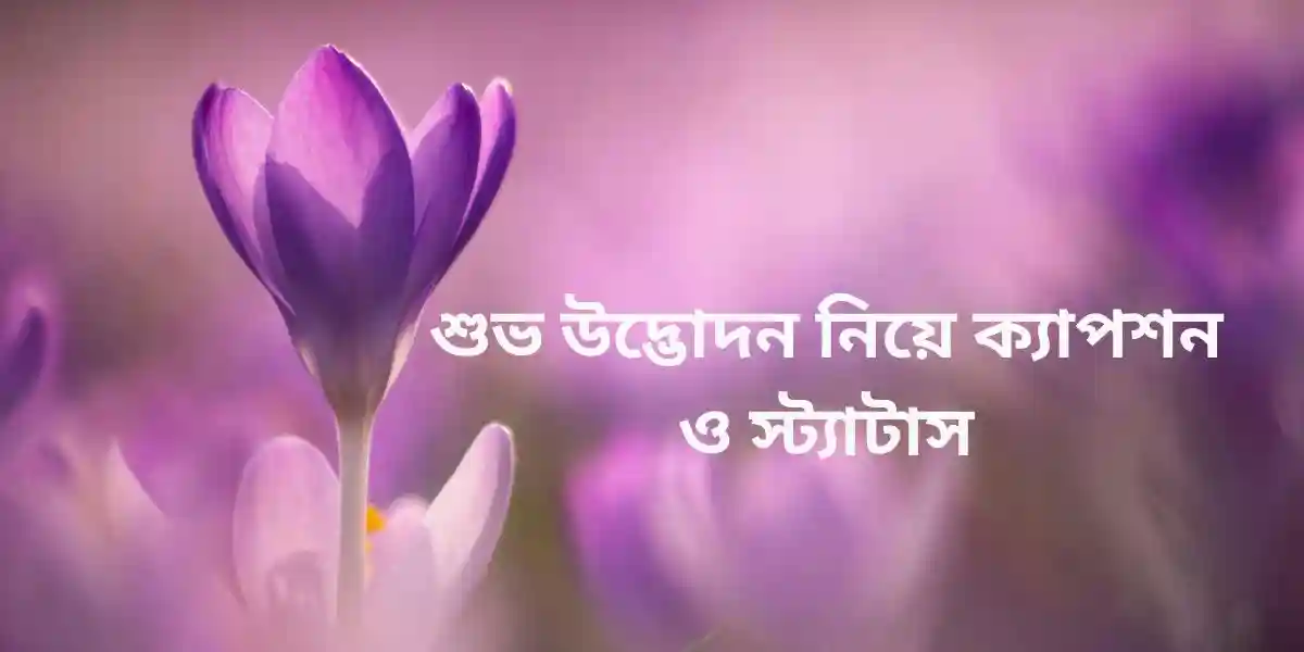 শুভ উদ্ভোদন নিয়ে ক্যাপশন ও স্ট্যাটাস