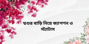 শ্বশুর বাড়ি নিয়ে ক্যাপশন ও স্ট্যাটাস